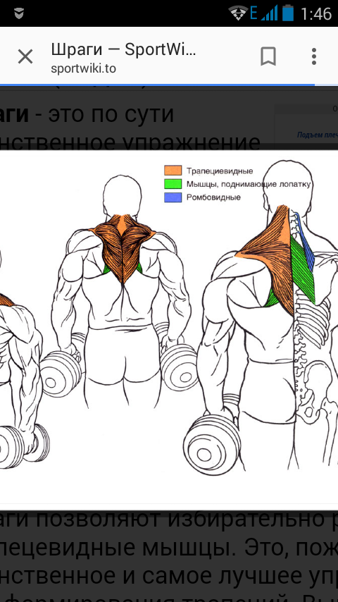 Sterostore.xyz -  Магазин низких цен. - Бодибилдинг форум AnabolicShops
