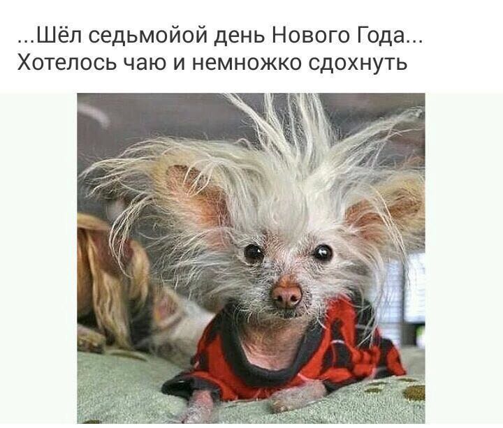 Курилка- разговоры на любые темы - Бодибилдинг форум AnabolicShops