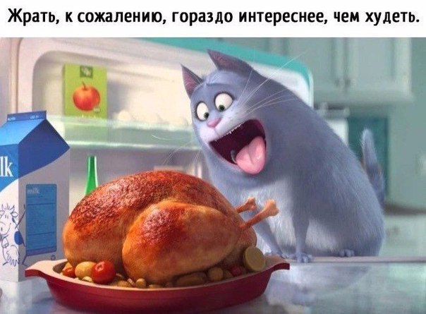 Курилка- разговоры на любые темы - Бодибилдинг форум AnabolicShops