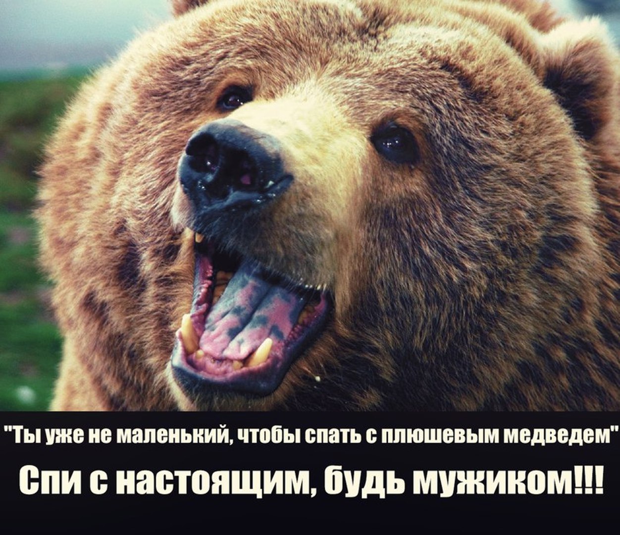 Курилка- разговоры на любые темы - Бодибилдинг форум AnabolicShops