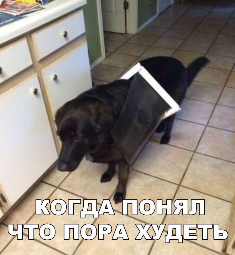 Курилка- разговоры на любые темы - Бодибилдинг форум AnabolicShops