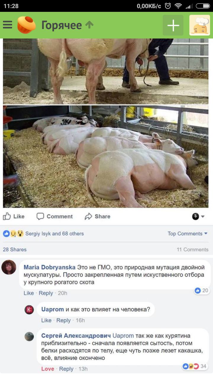 Курилка- разговоры на любые темы - Бодибилдинг форум AnabolicShops