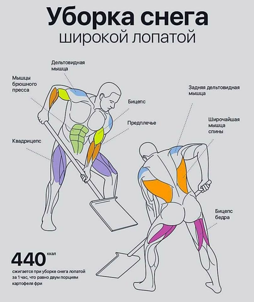 Курилка- разговоры на любые темы - Бодибилдинг форум AnabolicShops