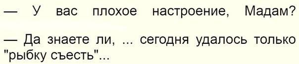 Курилка- разговоры на любые темы - Бодибилдинг форум AnabolicShops