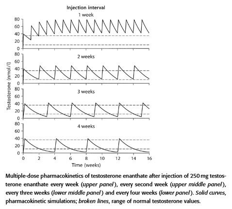 Sterostore.xyz -  Магазин низких цен. - Бодибилдинг форум AnabolicShops
