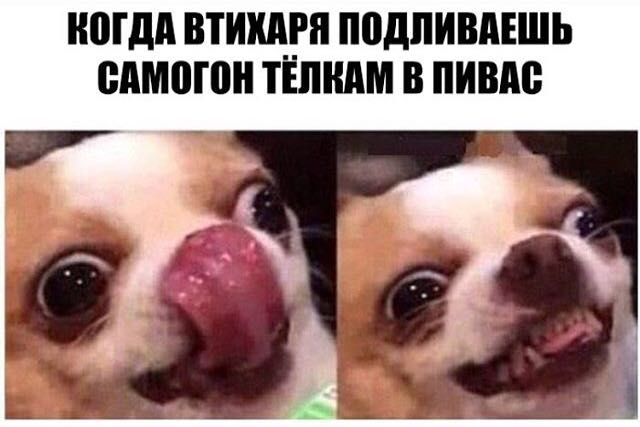 Курилка- разговоры на любые темы - Бодибилдинг форум AnabolicShops