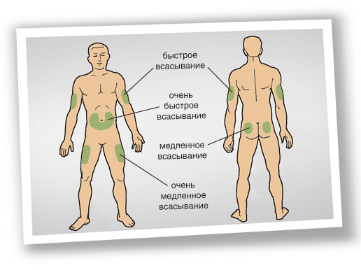 Инсулиноподобный фактор роста (IGF long) - Бодибилдинг форум AnabolicShops