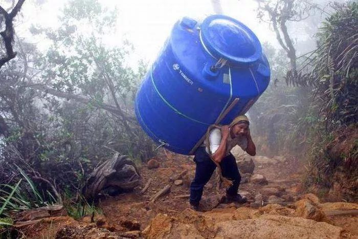 Sterostore.xyz -  Магазин низких цен. - Бодибилдинг форум AnabolicShops