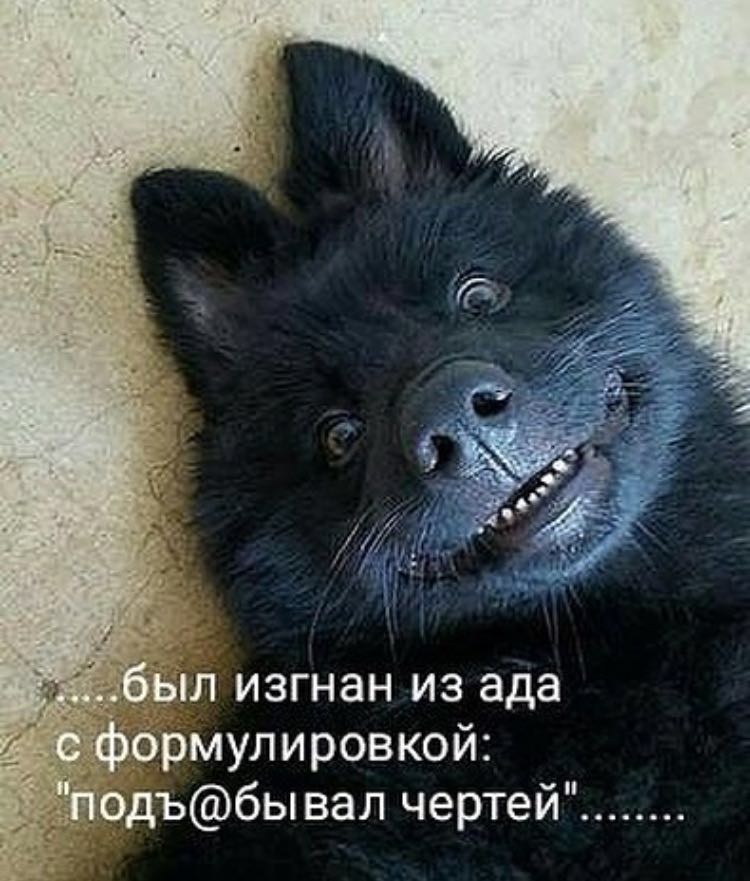 Курилка- разговоры на любые темы - Бодибилдинг форум AnabolicShops