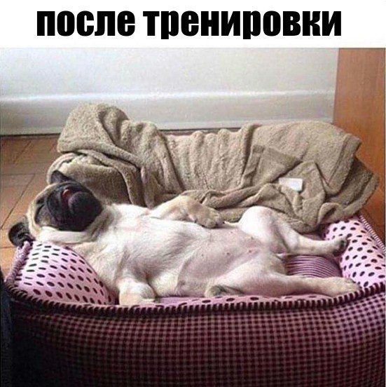 Курилка- разговоры на любые темы - Бодибилдинг форум AnabolicShops