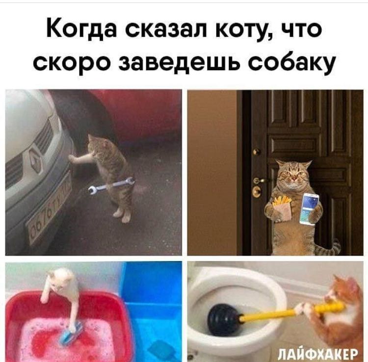 Курилка- разговоры на любые темы - Бодибилдинг форум AnabolicShops