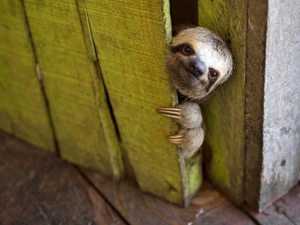 Курилка- разговоры на любые темы - Бодибилдинг форум AnabolicShops