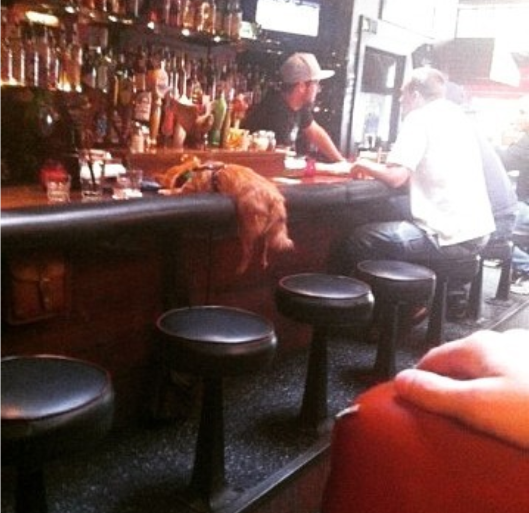 Курилка- разговоры на любые темы - Бодибилдинг форум AnabolicShops