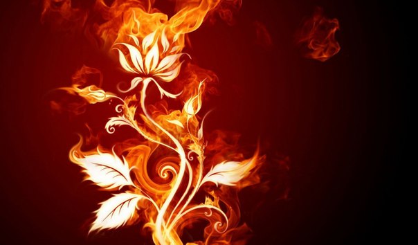 Natusik - Меркантильная суЧность или Сильная Красотка - Бодибилдинг форум AnabolicShops