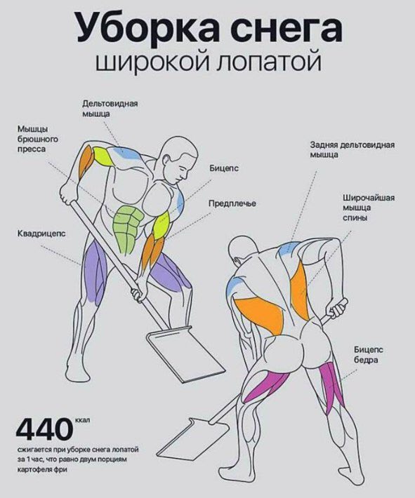 Metanhouse.biz - временно не заказывать! - Бодибилдинг форум AnabolicShops