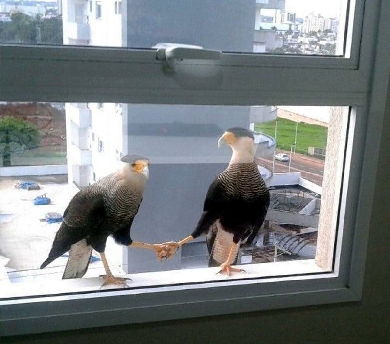 Курилка- разговоры на любые темы - Бодибилдинг форум AnabolicShops