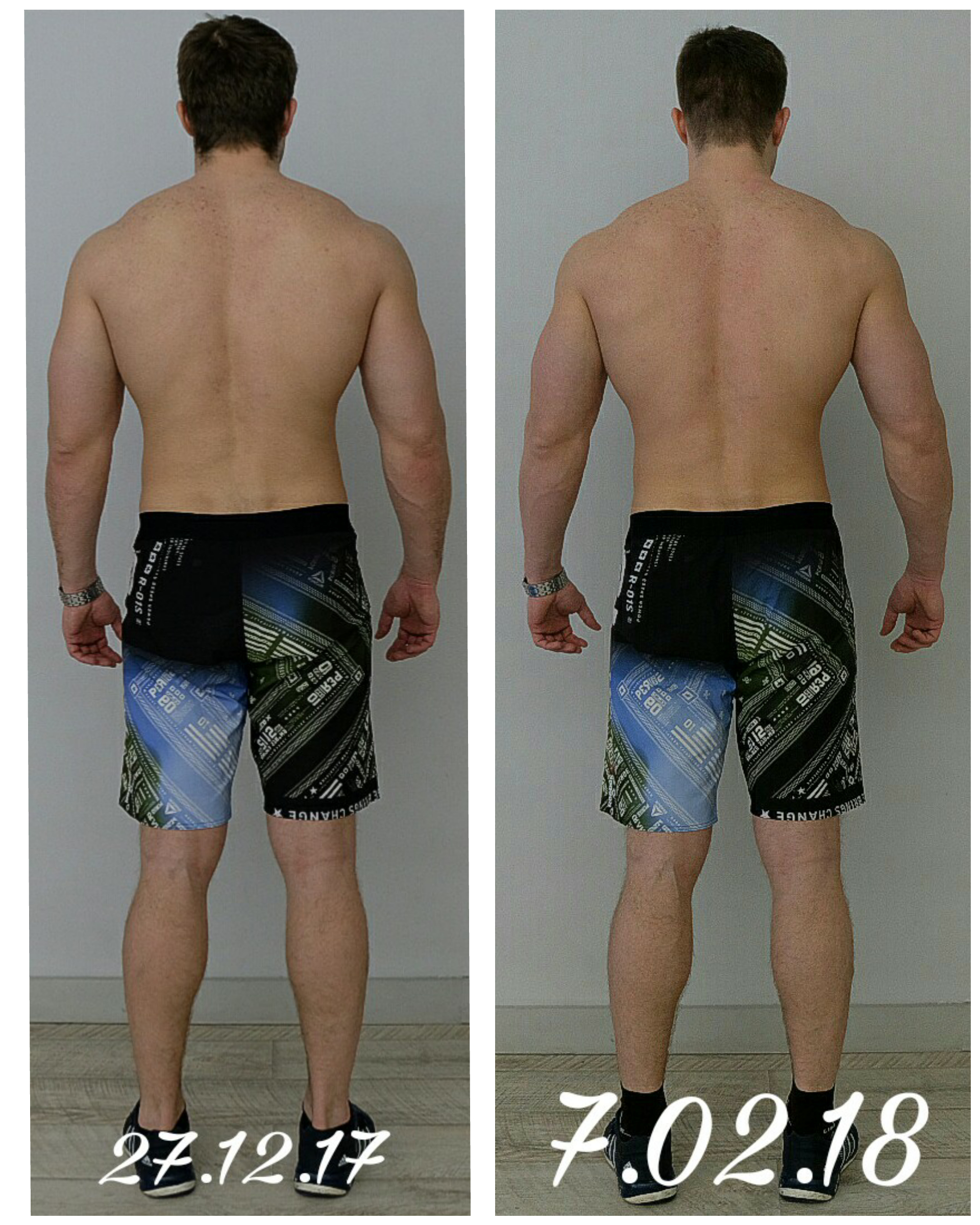 подготовка к весне 2018 "Slan" - Бодибилдинг форум AnabolicShops