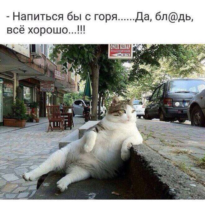 Курилка- разговоры на любые темы - Бодибилдинг форум AnabolicShops