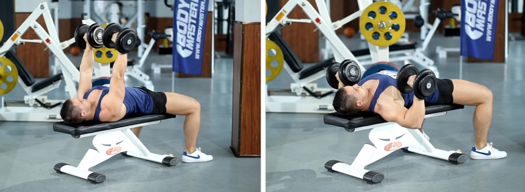 Как быстро накачать грудные мышцы - Бодибилдинг форум AnabolicShops