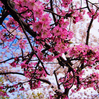 Natusik - Меркантильная суЧность или Сильная Красотка - Бодибилдинг форум AnabolicShops