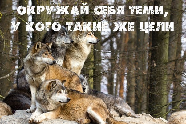 Natusik - Меркантильная суЧность или Сильная Красотка - Бодибилдинг форум AnabolicShops