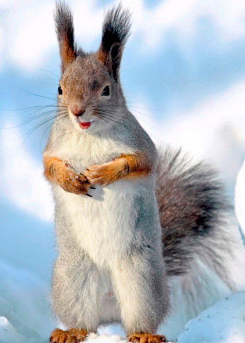 Курилка- разговоры на любые темы - Бодибилдинг форум AnabolicShops