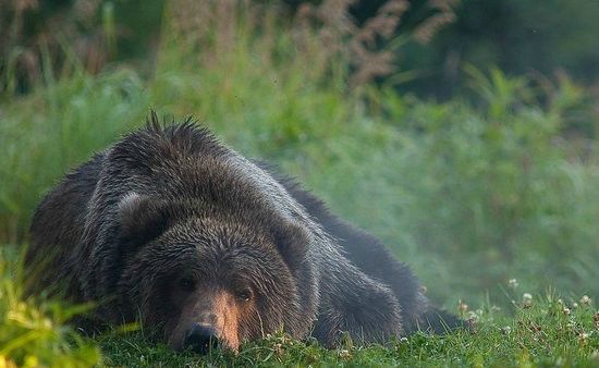 Natusik - Меркантильная суЧность или Сильная Красотка - Бодибилдинг форум AnabolicShops