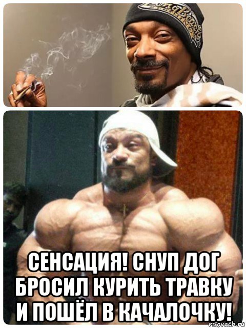 ERGO представляет - Противостояние мемов! - Бодибилдинг форум AnabolicShops