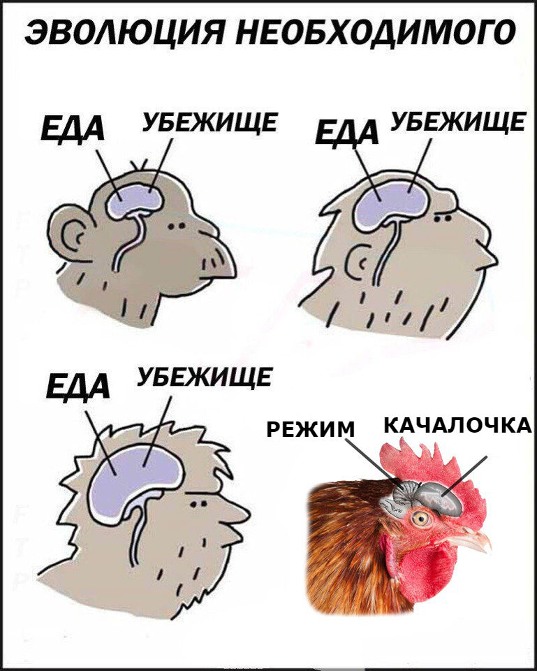 ERGO представляет - Противостояние мемов! - Бодибилдинг форум AnabolicShops