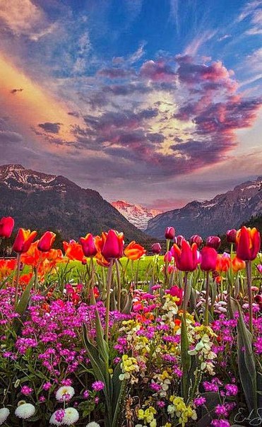 Natusik - Меркантильная суЧность или Сильная Красотка - Бодибилдинг форум AnabolicShops