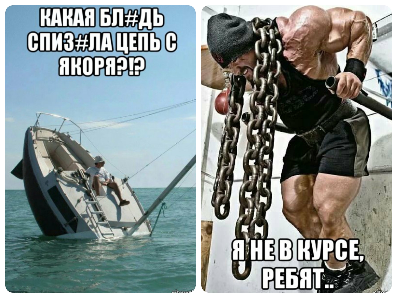 ERGO представляет - Противостояние мемов! - Бодибилдинг форум AnabolicShops