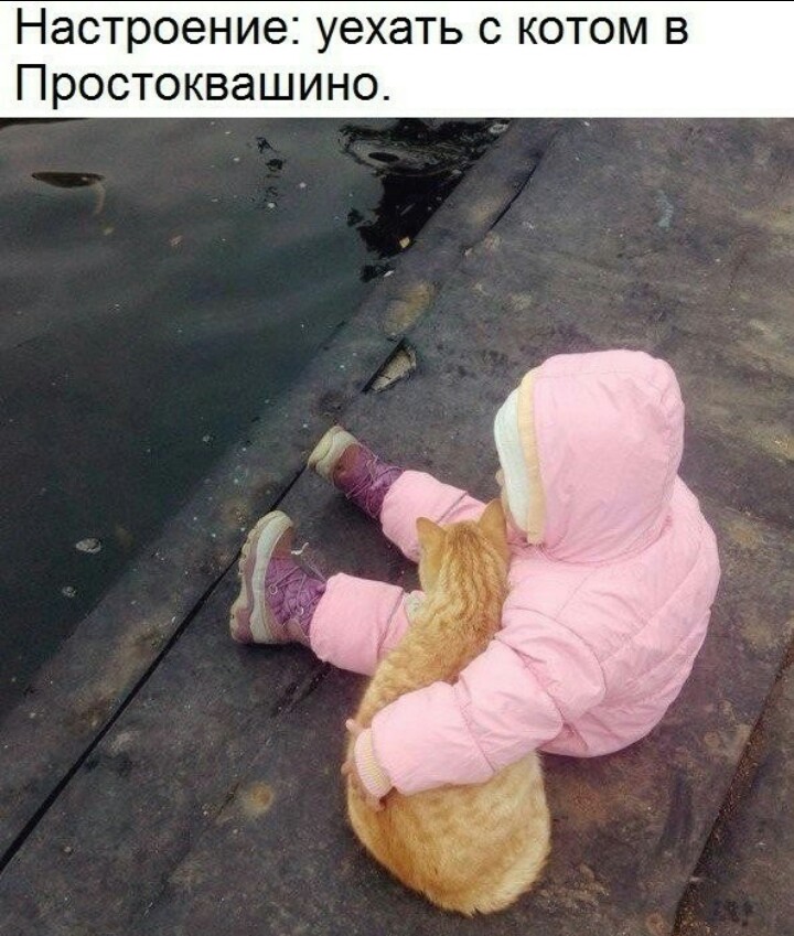 Sterostore.xyz -  Магазин низких цен. - Бодибилдинг форум AnabolicShops