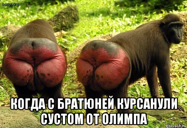 ERGO представляет - Противостояние мемов! - Бодибилдинг форум AnabolicShops