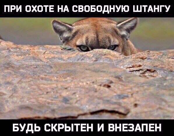 Курилка- разговоры на любые темы - Бодибилдинг форум AnabolicShops