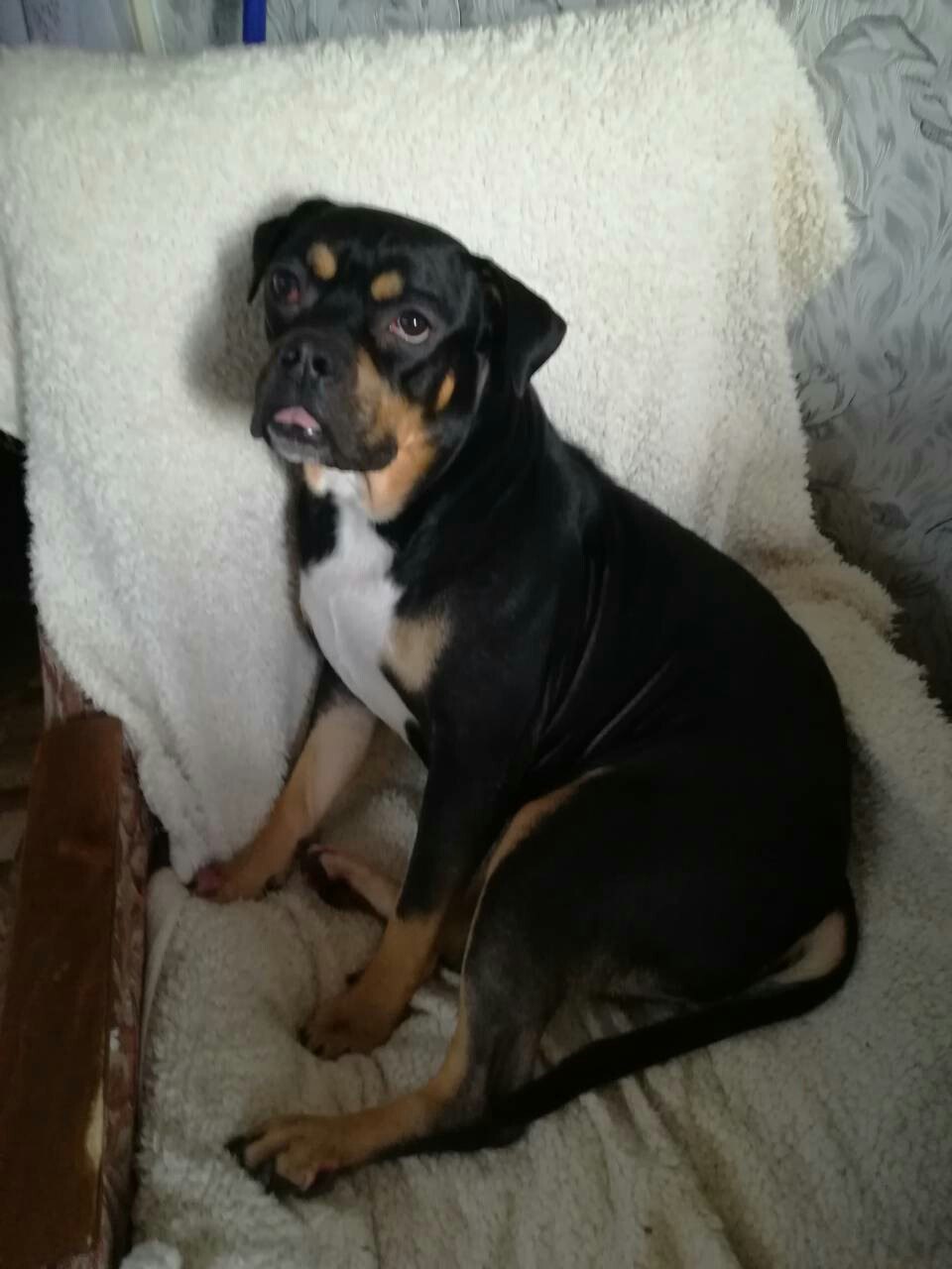 Natusik - Меркантильная суЧность или Сильная Красотка - Бодибилдинг форум AnabolicShops