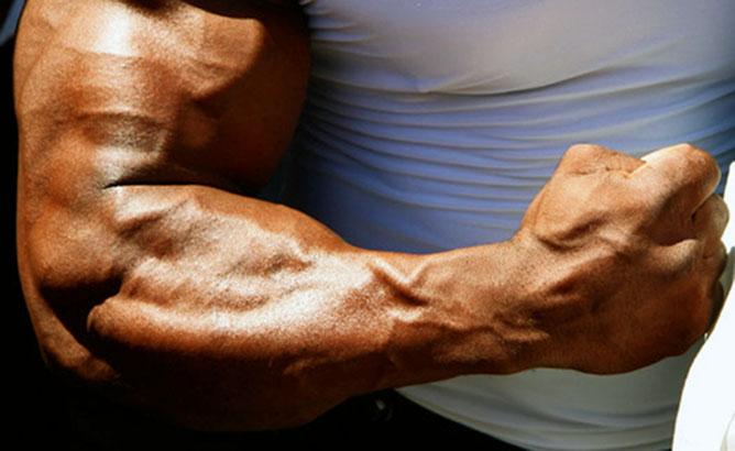 Пробуем накачать предплечье в домашних условиях - Бодибилдинг форум AnabolicShops