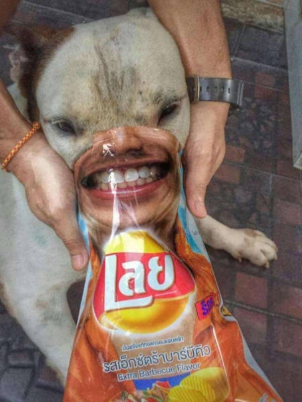 Приколюшные картинки - Бодибилдинг форум AnabolicShops