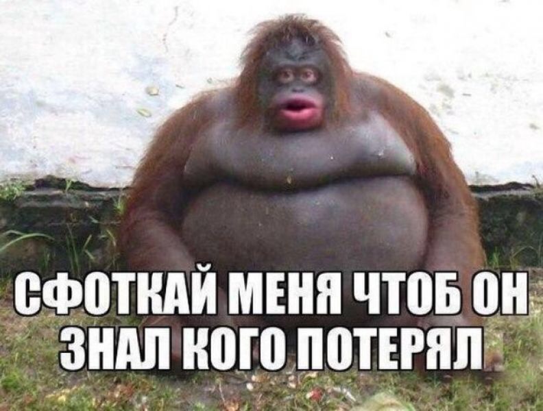 Приколюшные картинки - Бодибилдинг форум AnabolicShops