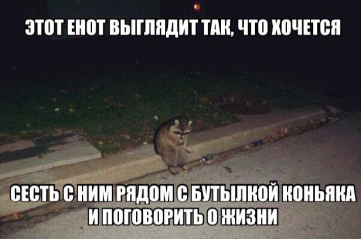 Приколюшные картинки - Бодибилдинг форум AnabolicShops