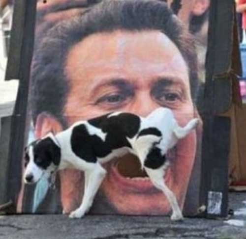 Приколюшные картинки - Бодибилдинг форум AnabolicShops