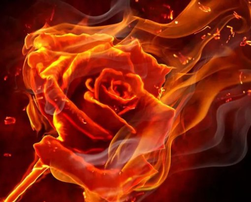 Natusik - Меркантильная суЧность или Сильная Красотка - Бодибилдинг форум AnabolicShops