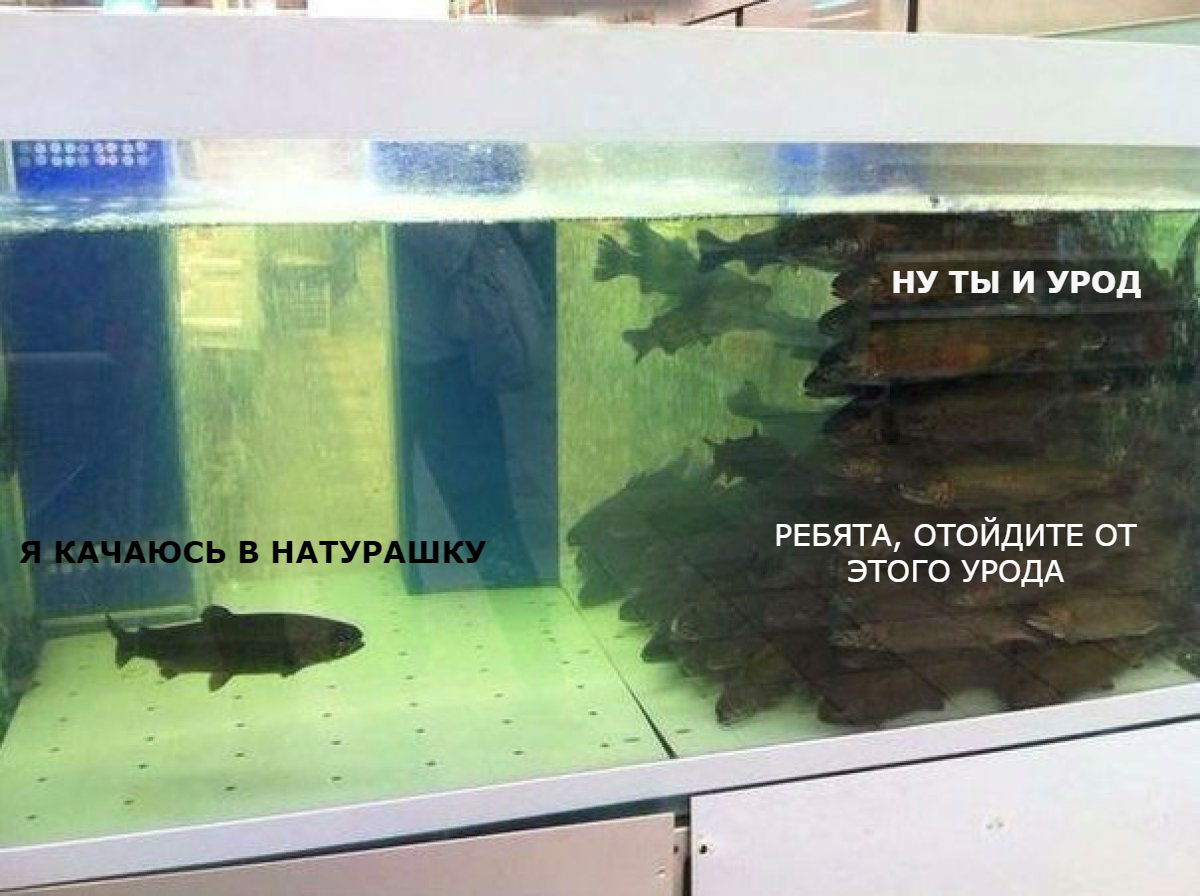 ERGO представляет - Противостояние мемов! - Бодибилдинг форум AnabolicShops