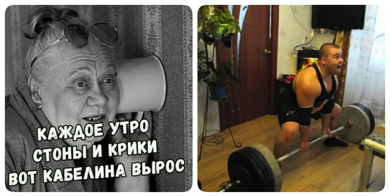 ERGO представляет - Противостояние мемов! - Бодибилдинг форум AnabolicShops