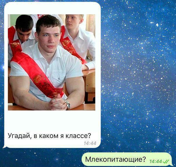 ERGO представляет - Противостояние мемов! - Бодибилдинг форум AnabolicShops