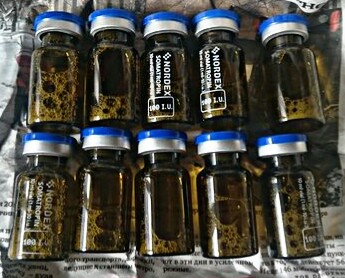 подготовка к весне 2018 "Slan" - Бодибилдинг форум AnabolicShops