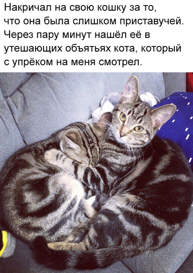 Курилка- разговоры на любые темы - Бодибилдинг форум AnabolicShops