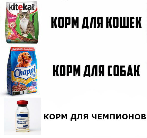ERGO представляет - Противостояние мемов! - Бодибилдинг форум AnabolicShops