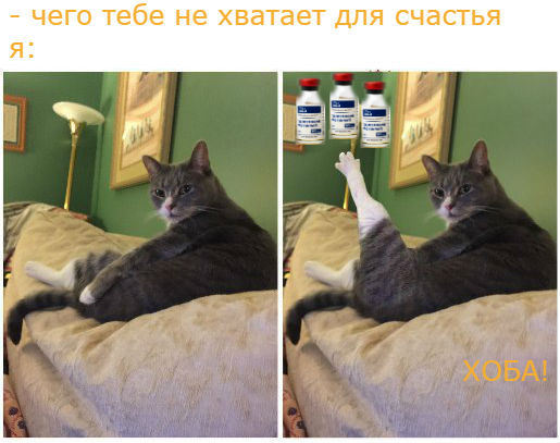 ERGO представляет - Противостояние мемов! - Бодибилдинг форум AnabolicShops