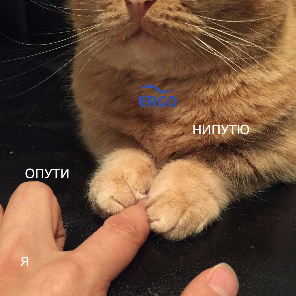 ERGO представляет - Противостояние мемов! - Бодибилдинг форум AnabolicShops