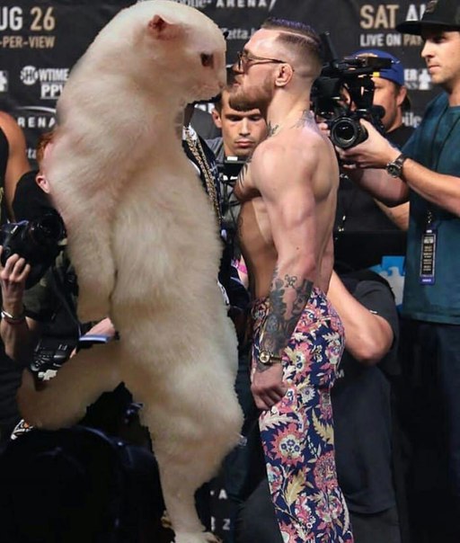 Курилка- разговоры на любые темы - Бодибилдинг форум AnabolicShops